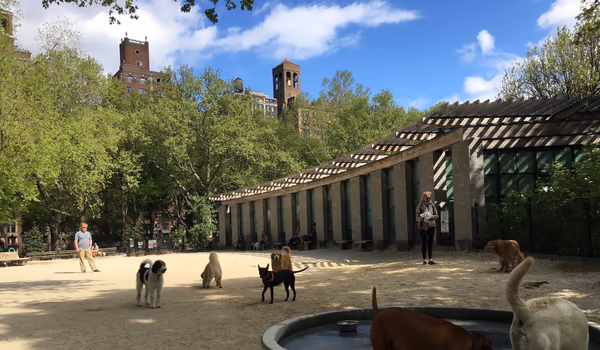 Washington Park Dog Run photo 2